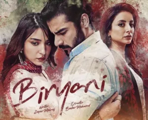 Biryani Drama by ARY Digital The Story So Far - October 30, 2025 | 6:07 PM Biryani Drama by ARY Digital The Story So Far