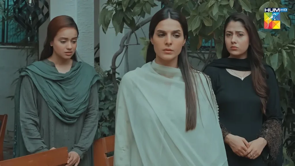 Meri Bahuain 2025 on HUM TV - Meri Bahuain